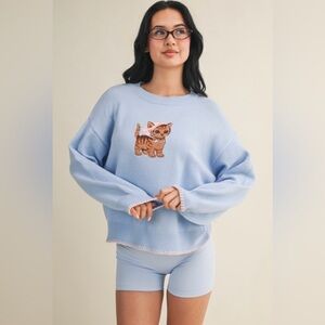 🆕🤍BABY BLUE KITTEN SWEATER 🐱